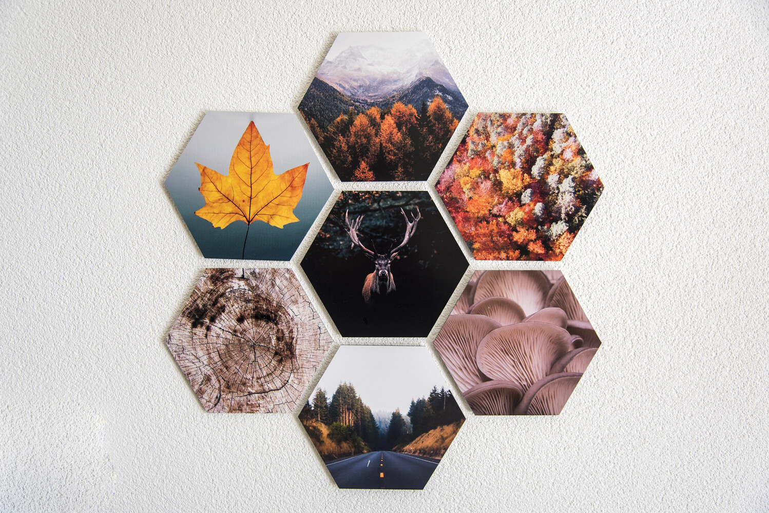Fotowand van zeven hexagons met herfstfoto’s, bevestigd op een witte muur