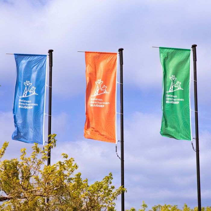 Flag CiCLO® 2