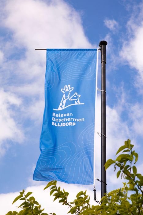 Flag CiCLO®