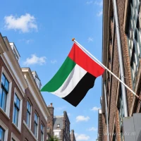 Vlag van de Verenigde Arabische Emiraten aan een gevelstok