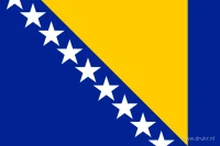 De Bosnische vlag heeft een blauw veld, een gele driehoek en een diagonale reeks witte sterren.