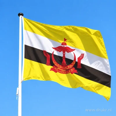 Vlag van Brunei wapperend aan een verticale witte mast