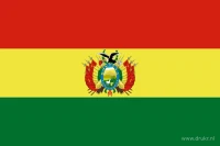 De Boliviaanse vlag heeft drie even hoge horizontale banen: rood, geel en groen. In de gele middenbaan staat het nationale wapen.