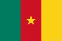 De Kameroense vlag heeft drie even brede verticale banen: groen aan de hijszijde, rood in het midden en geel aan de vrije zijde. In de rode baan staat één gele vijfpuntige ster.