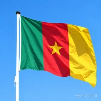 Kameroense vlag aan een mast