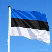 Estse vlag aan een mast