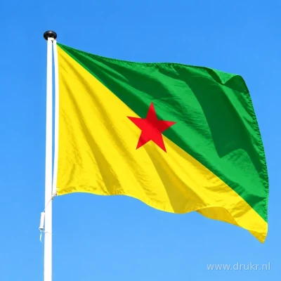 Vlag van Frans-Guyana wapperend aan een verticale witte mast