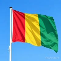 Guinese vlag aan een mast