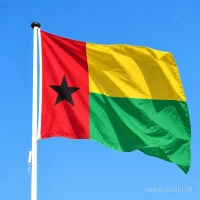 Vlag van Guinee-Bissau aan een mast