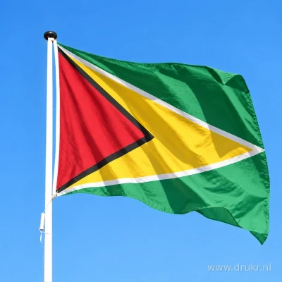 Guyaanse vlag wapperend aan een verticale witte mast