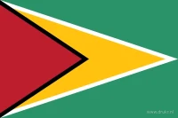 De Guyaanse vlag heeft een groen veld met een gele pijlpunt richting de vrije zijde. Aan de hijszijde staat een rode driehoek met een zwarte rand.