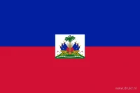 De Haïtiaanse vlag heeft twee even hoge horizontale banen: blauw boven en rood onder. In het midden staat een wit rechthoekig vlak met het nationale wapen.