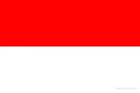 De Indonesische vlag heeft twee even hoge horizontale banen: rood boven en wit onder. Er staat geen wapen, tekst of ander symbool op het doek.