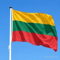 Litouwse vlag aan een mast