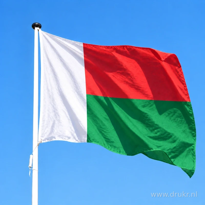 Malagassische vlag wapperend aan een verticale witte mast