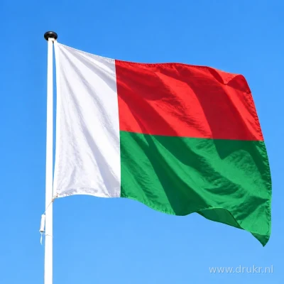 Malagassische vlag wapperend aan een verticale witte mast