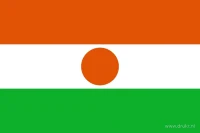 De Nigerese vlag heeft drie even hoge horizontale banen: oranje boven, wit in het midden en groen onder. In de witte baan staat een oranje cirkel.