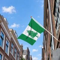 Vlag van Norfolk aan een gevelstok