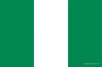 De Nigeriaanse vlag heeft drie even brede verticale banen: groen aan de hijszijde, wit in het midden en groen aan de vrije zijde. Er staat geen embleem op het doek.