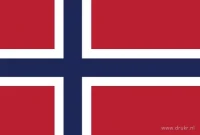 De Noorse vlag heeft een rood veld met een donkerblauw Scandinavisch kruis binnen een witte rand.