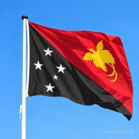 Vlag van Papoea-Nieuw-Guinea aan een mast