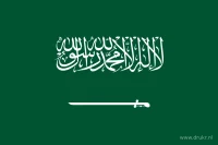 Een groen veld met een wit Arabisch opschrift en een wit horizontaal zwaard daaronder.