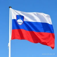 Sloveense vlag aan een mast