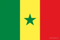 De Senegalese vlag heeft drie even brede verticale banen: groen aan de hijszijde, geel in het midden en rood aan de vrije zijde. In de gele baan staat een groene vijfpuntige ster.
