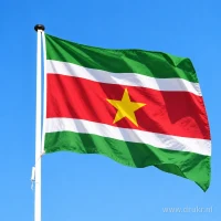 Surinaamse vlag aan een mast