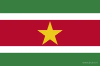 De Surinaamse vlag heeft vijf horizontale banen: groen, wit, rood, wit en groen. In het midden van de rode baan staat een gele vijfpuntige ster.