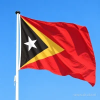 Vlag van Oost-Timor aan een mast