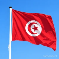Tunesische vlag aan een mast