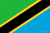 De Tanzaniaanse vlag heeft een groen vlak aan de bovenkant en een blauw vlak aan de onderkant. Een zwarte diagonale baan met gele randen loopt van de onderste hijshoek naar de bovenste vrije hoek.