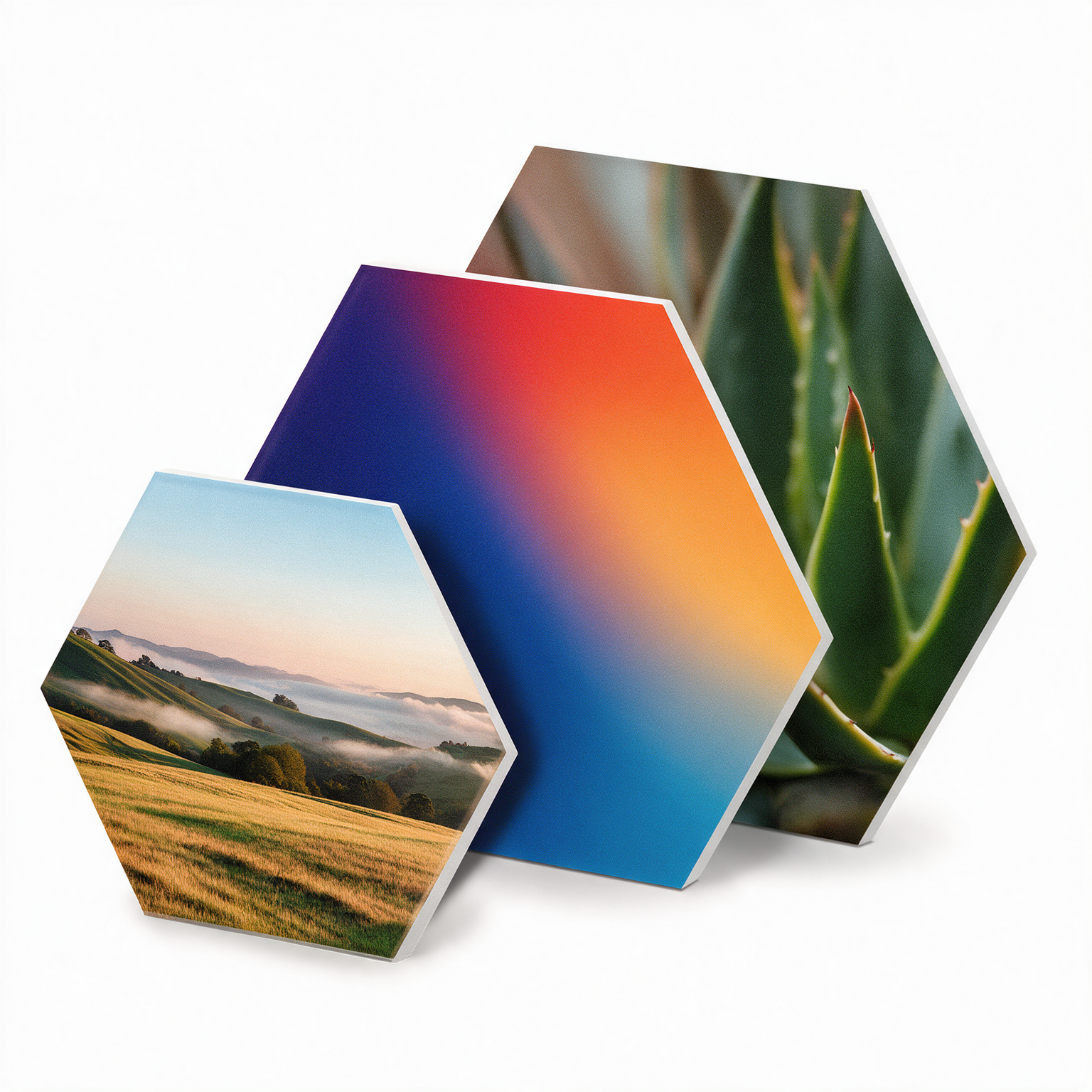 Drie losse hexagon panelen met een landschap, kleurverloop en plantenfoto