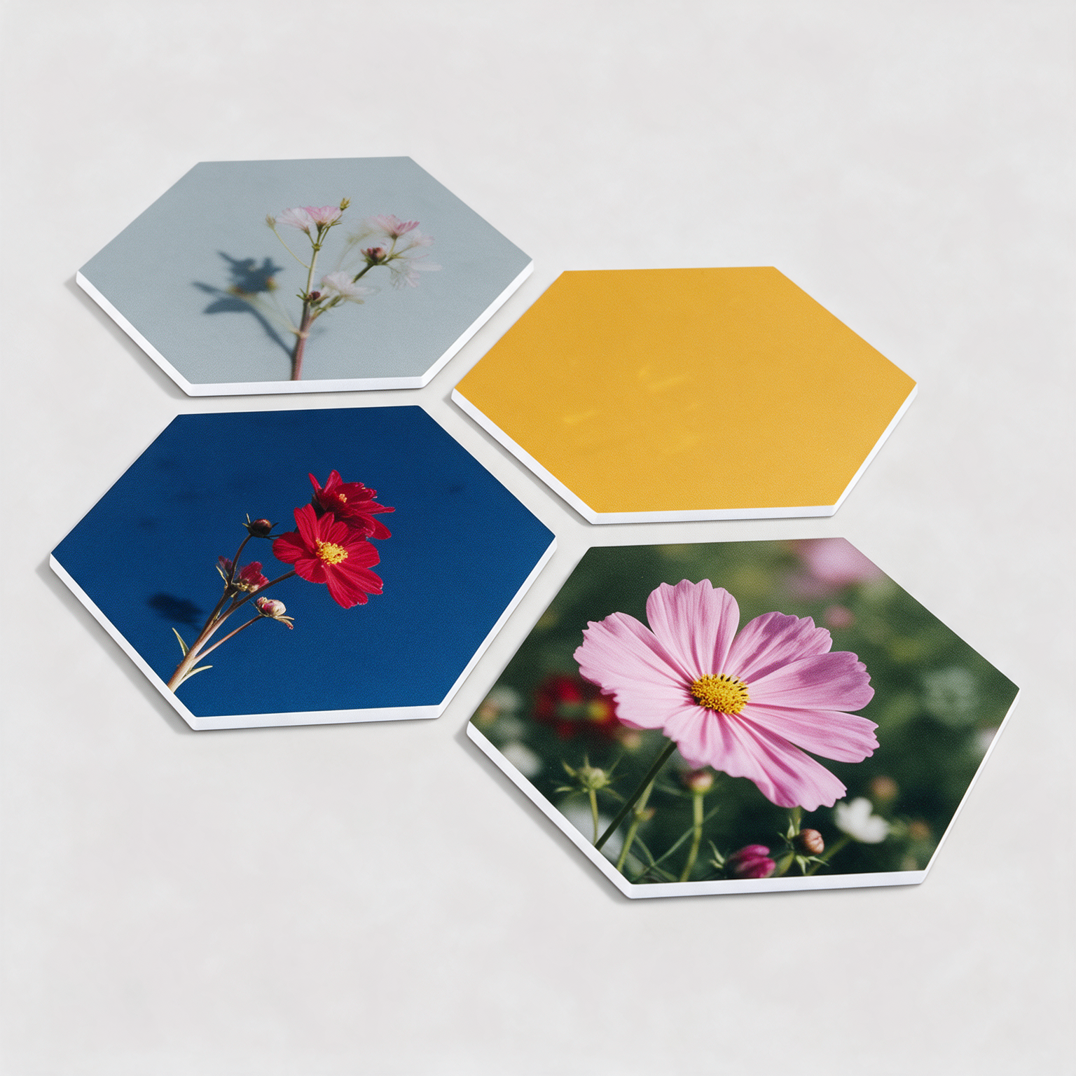 Vier hexagon fotopanelen met bloemenfoto’s en een geel vlak op een lichte muur